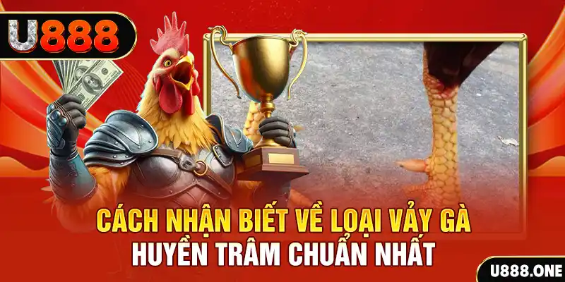 ww88 com Chú hề Patty tuổi teen