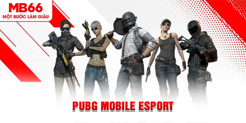 ww88 com gà chọi c1 mới nhất