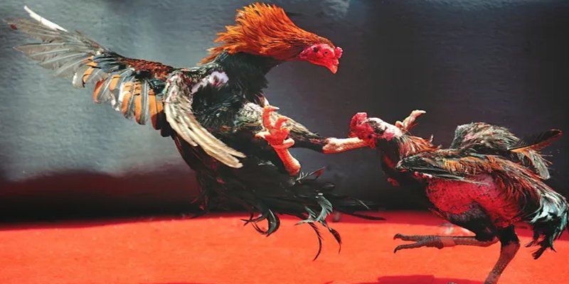 ww88 com đăng nhập nổ hũ số 1