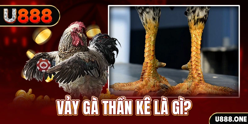 ww88 com xổ số miền bắc thứ tư hàng tuần