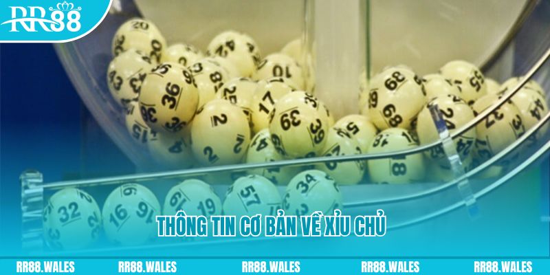 ww88 com baccarat long bảo là gì