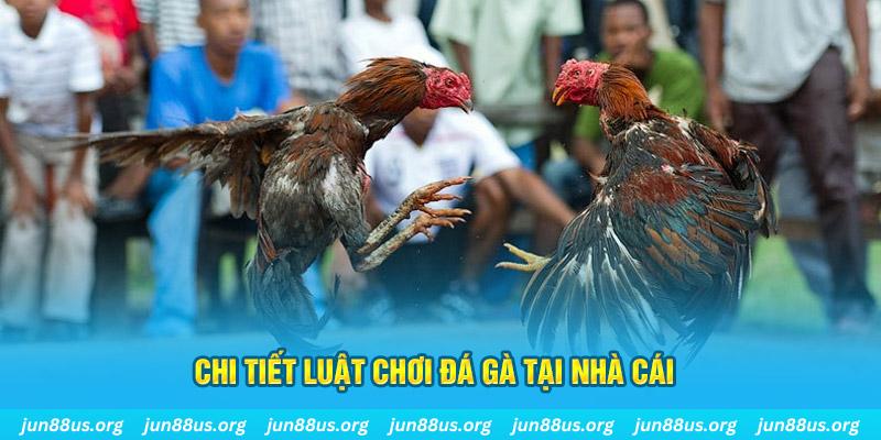 ww88 com đăng nhập sòng bạc uy tín