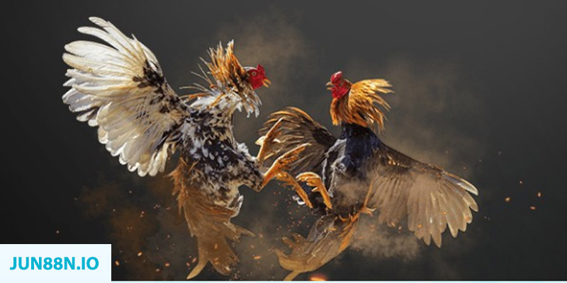 ww88 com bắn cá long vương