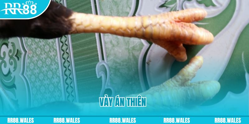 ww88 com who wants to be a millionaire slot