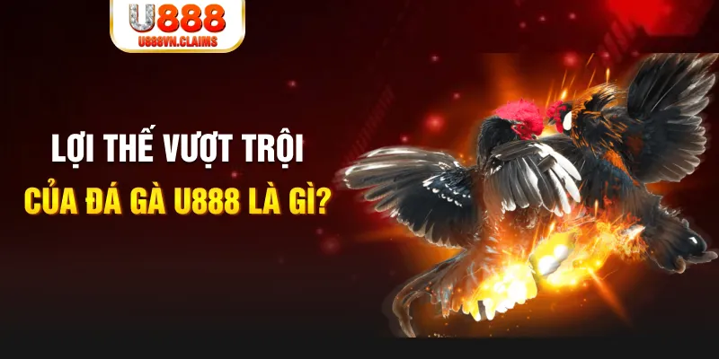 ww88 com 888 slot là gì